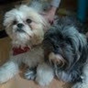 Meet your Posher, Cindy